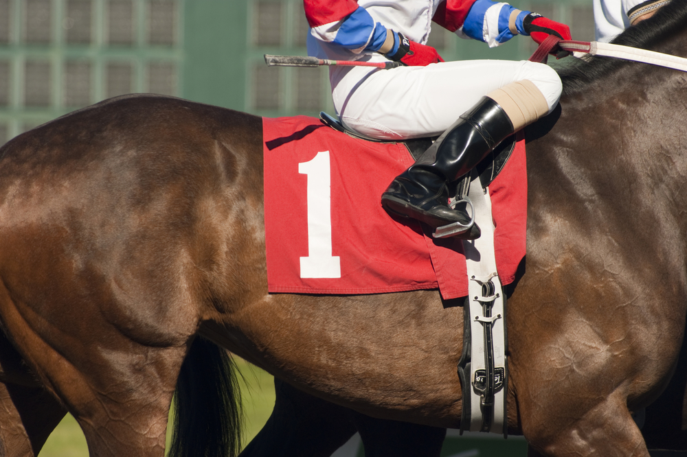 jockey rides horse numbered one