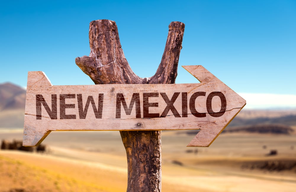 wooden sign indicating New Mexico direction against a desert backdrop